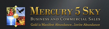 Mercury 5 Sky Business Sales